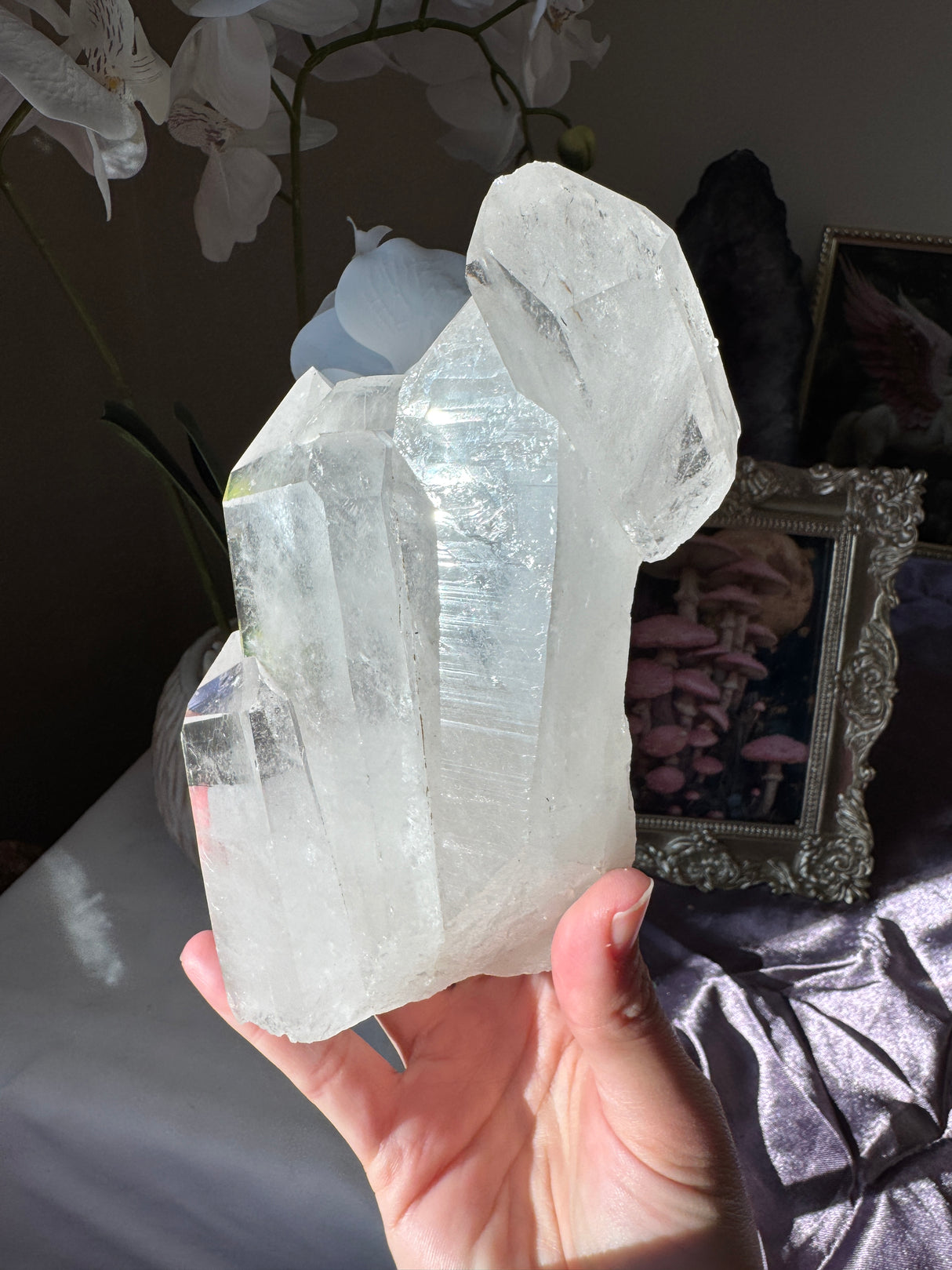 Brazilian Quartz Cluster