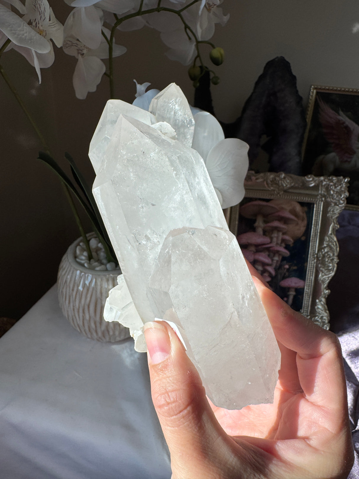 Brazilian Quartz Cluster
