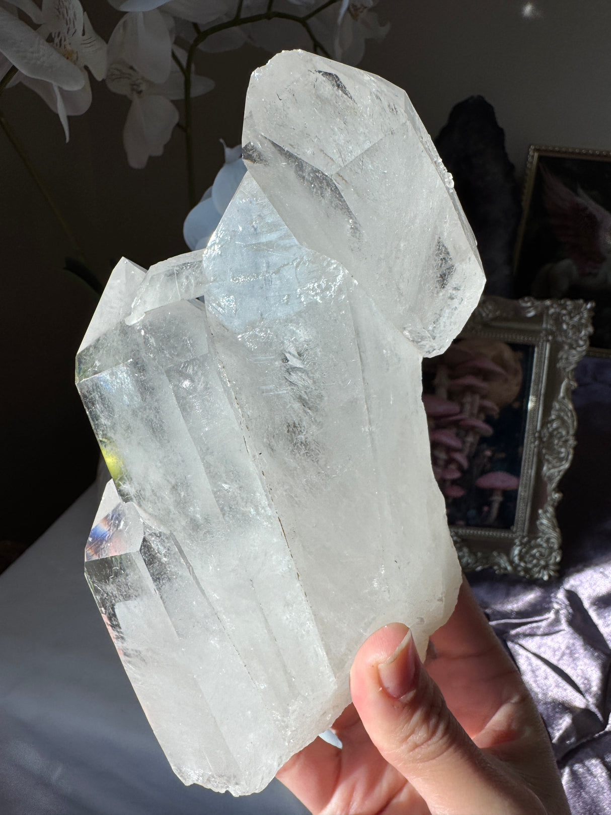 Brazilian Quartz Cluster