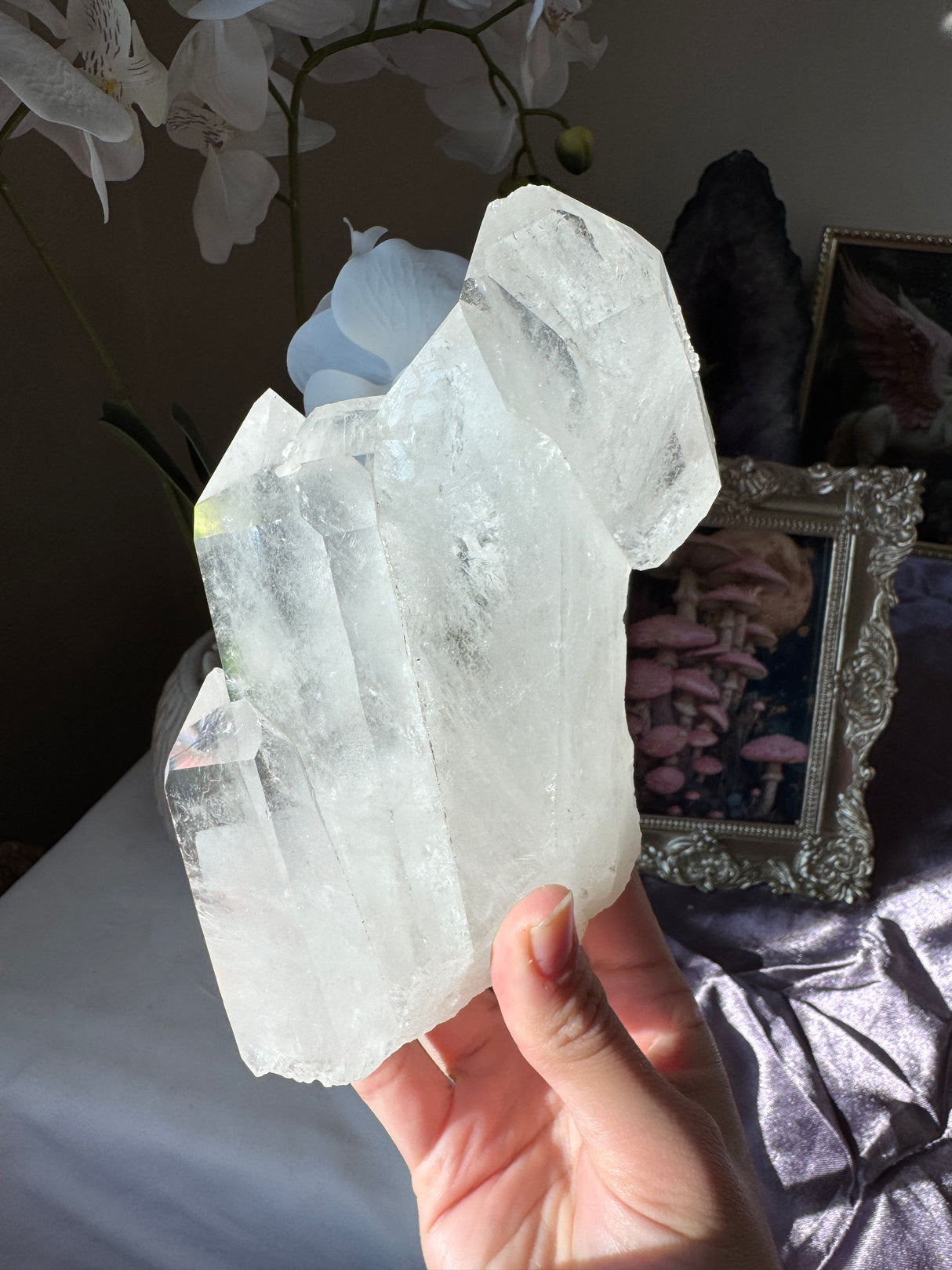 Brazilian Quartz Cluster