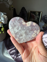HQ Flower Agate Heart