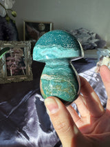 Sea Jasper Mushroom