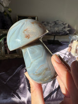 Blue Agate Mushroom