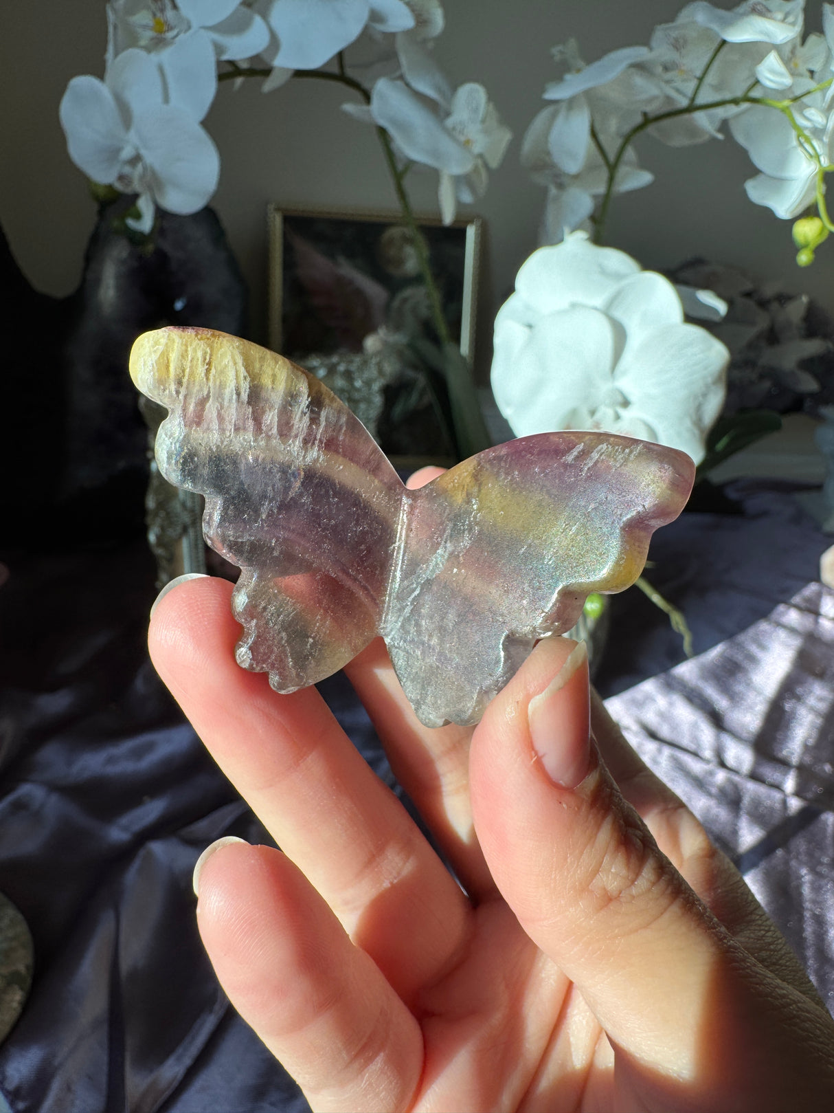 Rainbow Fluorite Butterfly