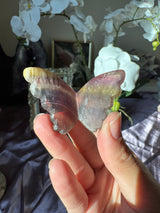 Rainbow Fluorite Butterfly