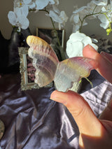 Rainbow Fluorite Butterfly