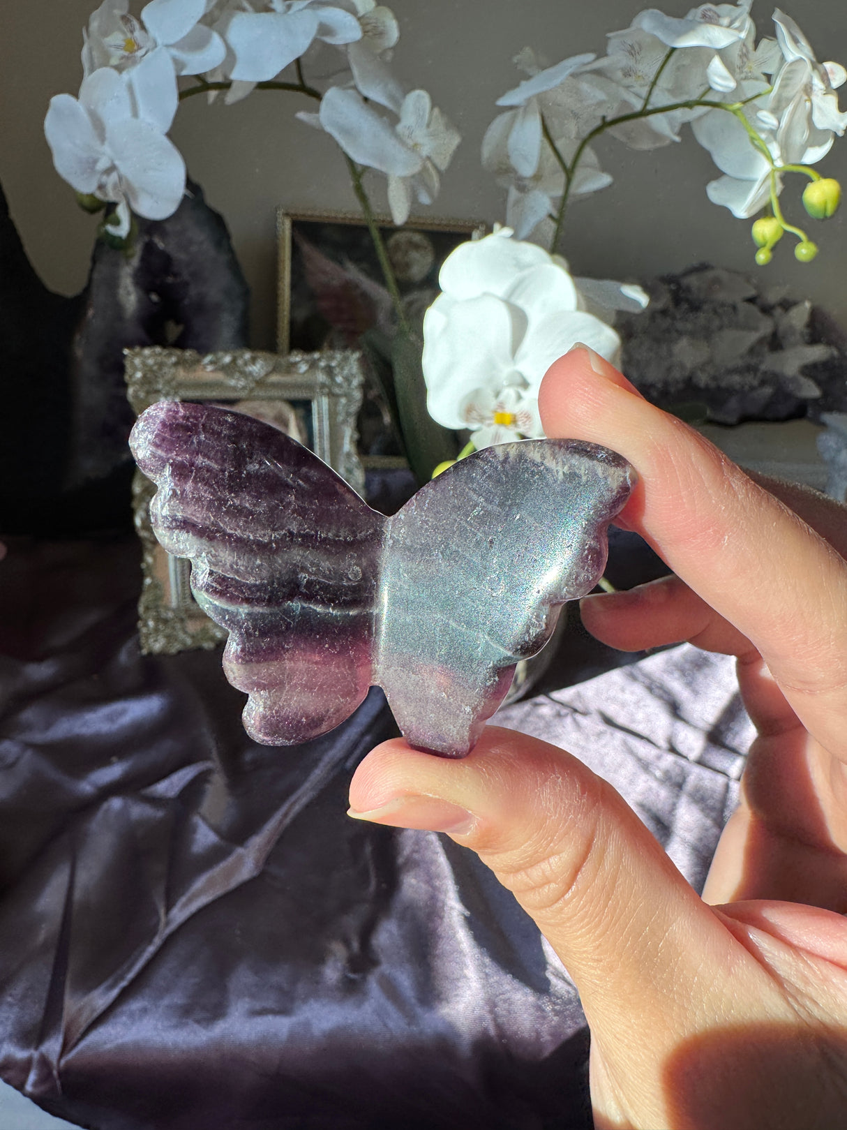 Rainbow Fluorite Butterfly