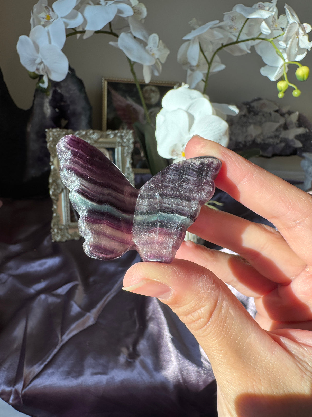 Rainbow Fluorite Butterfly