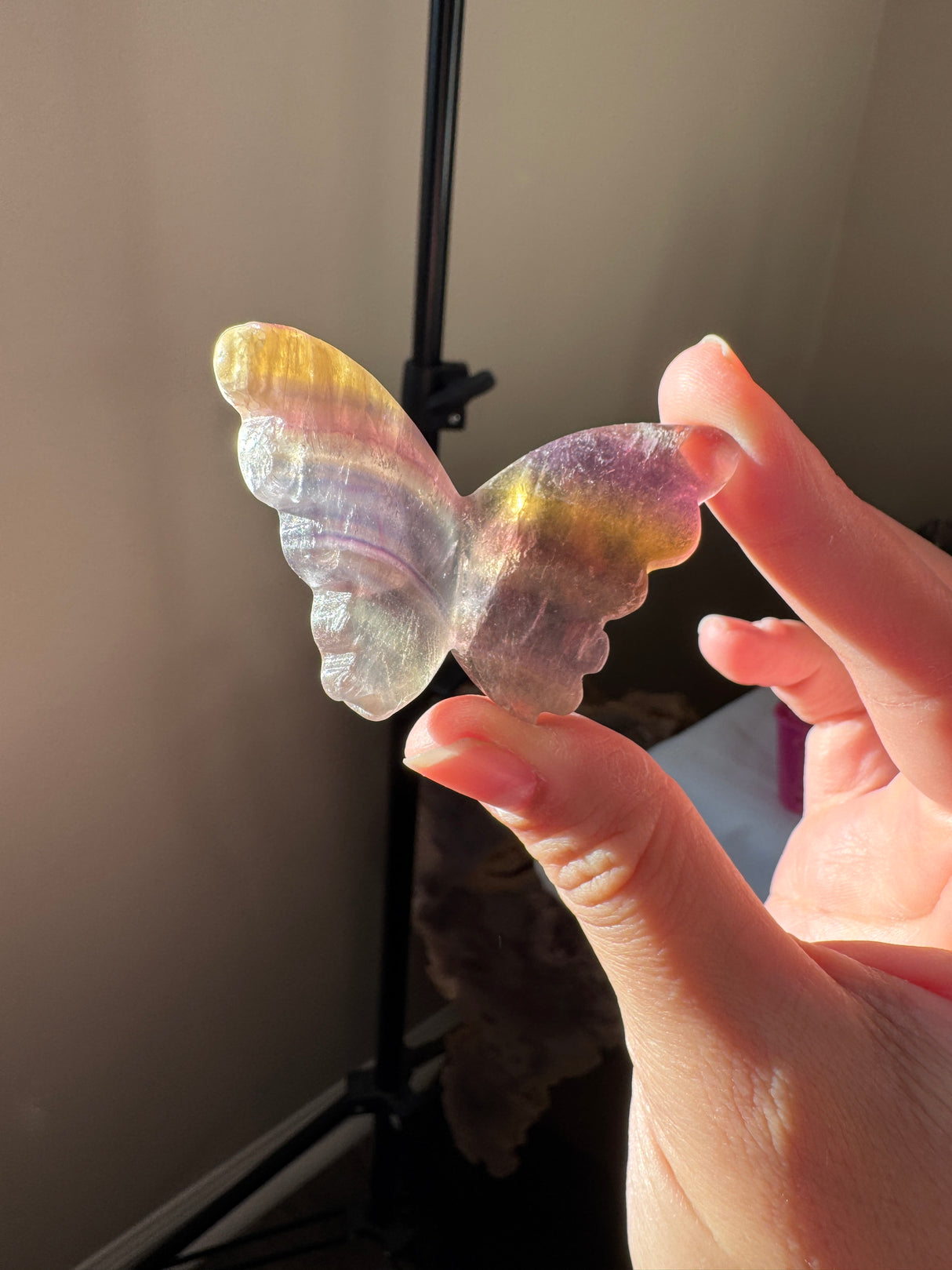 Rainbow Fluorite Butterfly