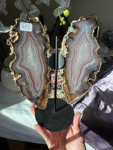 Gilded Agate Butterly Wings