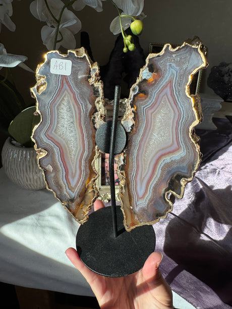 Gilded Agate Butterly Wings