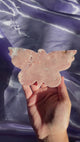 Pink Amethyst Butterflies (Your Pick)